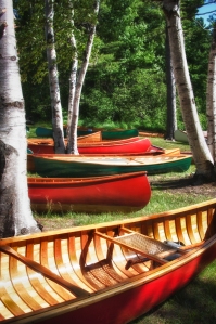 Wooden canoe assembly
